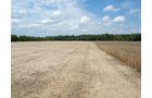 Property photo 5 - 98 +/- Acres Offered in 3 Tracts